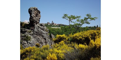 Reisemobilstellplatz - Rhône-Alpes - die Steinwende (la Pierre qui vire), geologische Kuriosität - Camping Le Viaduc