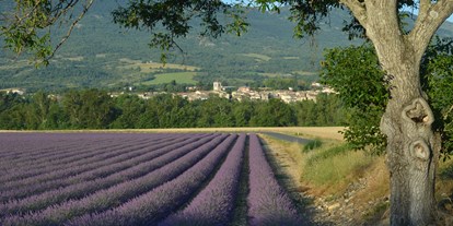 Motorhome parking space - Spielplatz - Provence-Alpes-Côte d'Azur - Lavendelfelder - Camping Les Myotis