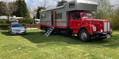 Motorhome parking space - Wohnwagen erlaubt - Belgium - Camping Druivenland