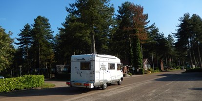 Reisemobilstellplatz - Stromanschluss - Belgien - Camping Tulderheyde