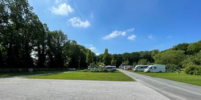 Motorhome parking space - Hallenbad - Belgium - Mittelfeld Camping Memling - Camping Memling