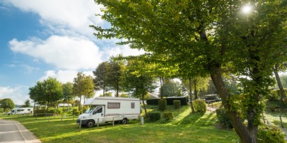 Motorhome parking space - Bademöglichkeit für Hunde - Belgium - Camping Worriken Campingpitch - Camping Worriken