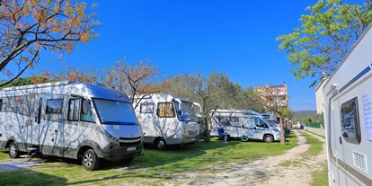 Motorhome parking space - Hunde erlaubt: Hunde erlaubt - Zadar - Šibenik - Camp Matea