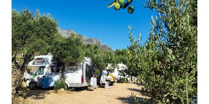 Motorhome parking space - Duschen - Dubrovnik - mjesta u kampu smještena između stabala maslina - Mini Camp Podaca