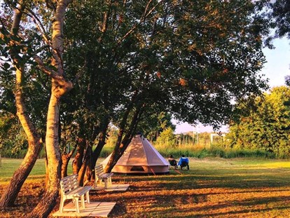 Reisemobilstellplatz - Restaurant - Tent pitch - MCM Camping