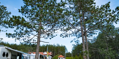 Reisemobilstellplatz - Umgebungsschwerpunkt: Berg - Serbien - Camping Zlatibor