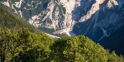 Reisemobilstellplatz - Julische Alpen - Camping Šenkova Domačija