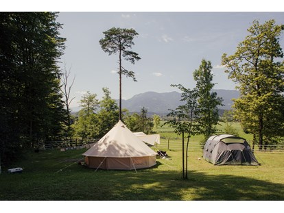 Motorhome parking space - Duschen - Slovenia - Part of our meadow with mountain view. - Forest Camping Mozirje