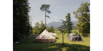 Reisemobilstellplatz - Frischwasserversorgung - Part of our meadow with mountain view. - Forest Camping Mozirje