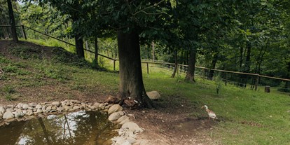 Reisemobilstellplatz - Frischwasserversorgung - Part of our mini animal park - Forest Camping Mozirje