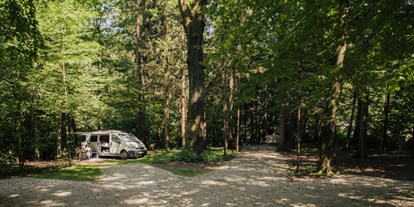 Reisemobilstellplatz - Frischwasserversorgung - Forest area pitches - Forest Camping Mozirje