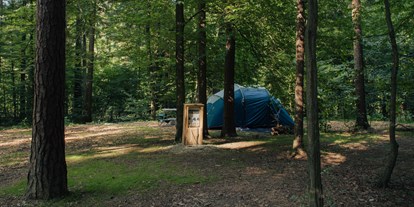 Reisemobilstellplatz - Art des Stellplatz: ausgewiesener Parkplatz - Slowenien - Forest area pitches - Forest Camping Mozirje