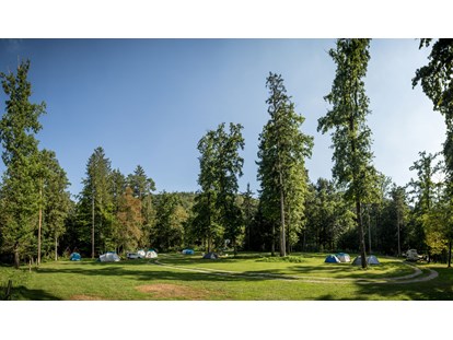 Reisemobilstellplatz - Art des Stellplatz: bei Gewässer - Slowenien - Part of our Forest camping Mozirje - Forest Camping Mozirje