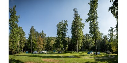 Reisemobilstellplatz - Art des Stellplatz: ausgewiesener Parkplatz - Slowenien - Part of our Forest camping Mozirje - Forest Camping Mozirje