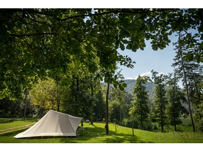 Reisemobilstellplatz - Art des Stellplatz: eigenständiger Stellplatz - Pomurje / Pohorjegebirge & Umgebung / Savinjska - Part of our Forest camping Mozirje - Forest Camping Mozirje