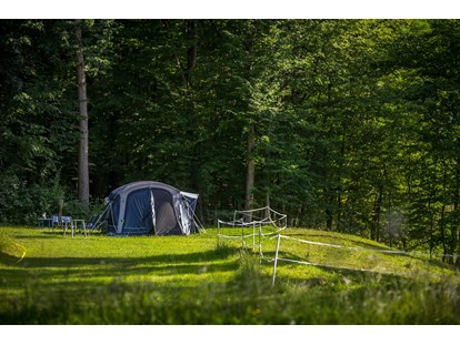 Motorhome parking space - Frischwasserversorgung - Part of our Forest camping Mozirje - Forest Camping Mozirje