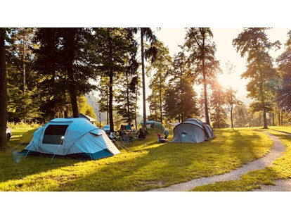 Reisemobilstellplatz - SUP Möglichkeit - Pomurje / Pohorjegebirge & Umgebung / Savinjska - Part of our Forest camping Mozirje - Forest Camping Mozirje