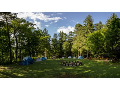 Reisemobilstellplatz - Umgebungsschwerpunkt: Fluss - Our main meadow with rental equipped tents. - Forest Camping Mozirje