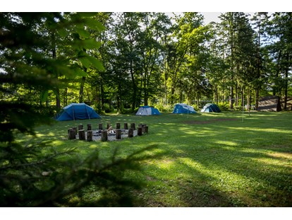 Motorhome parking space - Hunde erlaubt: Hunde erlaubt - Slovenia - Our main meadow with rental equipped tents. - Forest Camping Mozirje