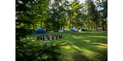 Reisemobilstellplatz - Frischwasserversorgung - Our main meadow with rental equipped tents. - Forest Camping Mozirje