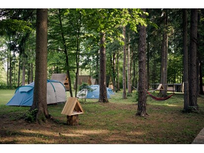 Reisemobilstellplatz - Art des Stellplatz: bei Gewässer - Slowenien - Part of chill out place - Forest Camping Mozirje