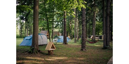 Reisemobilstellplatz - Art des Stellplatz: ausgewiesener Parkplatz - Slowenien - Part of chill out place - Forest Camping Mozirje