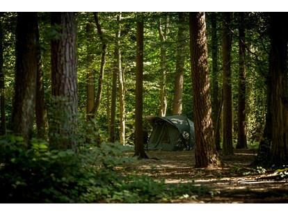 Reisemobilstellplatz - Umgebungsschwerpunkt: Strand - Lukovica - Part of our woods - Forest Camping Mozirje