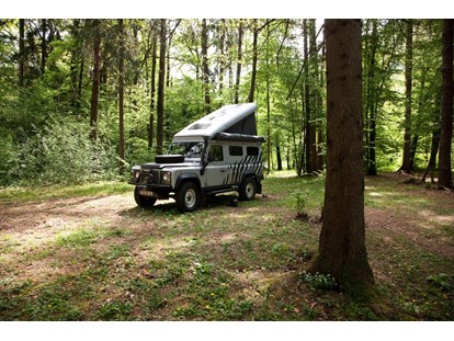 Motorhome parking space - Duschen - Slovenia - Part of our woods - Forest Camping Mozirje