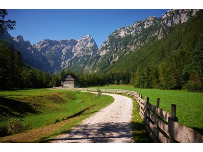 Motorhome parking space - Duschen - Slovenia - Surrounding points of interest - Forest Camping Mozirje