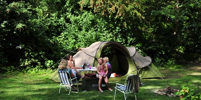 Reisemobilstellplatz - Wohnwagen erlaubt - Saint-Leu-d'Esserent - Camping Campix