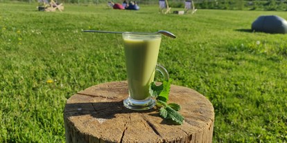 Motorhome parking space - Wintercamping - Poland - We invite you for matcha - Camp 66