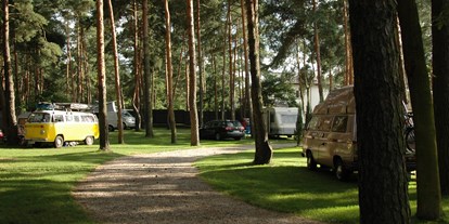 Motorhome parking space - Art des Stellplatz: eigenständiger Stellplatz - Poland - Camping Motel Wok nr 90