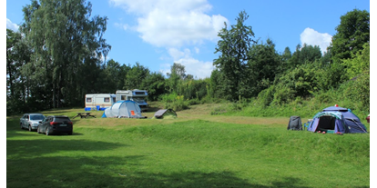Motorhome parking space - Bademöglichkeit für Hunde - Poland - Agro Camping Olsztyn Allenstein