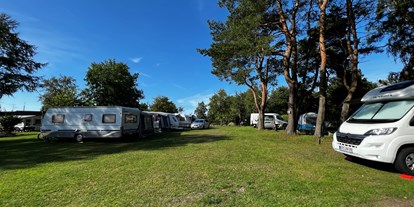 Motorhome parking space - Stromanschluss - Pomerania - Camping Morski 101
