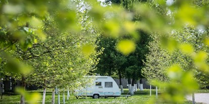 Motorhome parking space - Reiten - Hungary - Camping Arena - Budapest - Arena Camping - Budapest