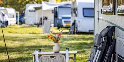 Motorhome parking space - Reiten - Hungary - Arena Camping - Budapest