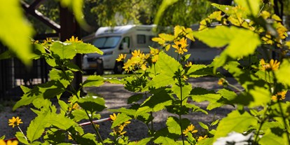 Motorhome parking space - Entsorgung Toilettenkassette - Central Hungary - Arena Camping - Budapest