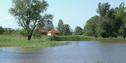 Reisemobilstellplatz - Bademöglichkeit für Hunde - Ungarn - Naturpark Puszta Eldorado  - Camping Puszta Eldorado