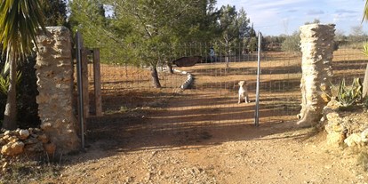 Reisemobilstellplatz - Hunde erlaubt: Hunde erlaubt - Katalonien - Villa Piedra