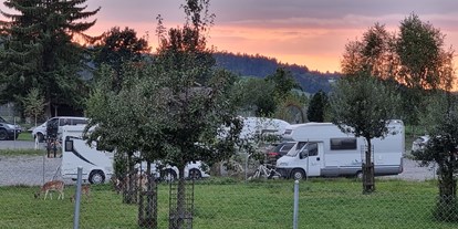 Reisemobilstellplatz - Wohnwagen erlaubt - Schweiz - Schüür zum Hirschpark