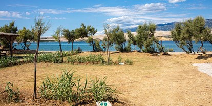 Reisemobilstellplatz - Frischwasserversorgung - Zadar - Campingplatz Terra Park SpiritoS****