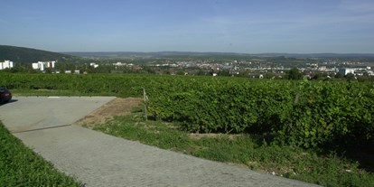 Motorhome parking space - Umgebungsschwerpunkt: Stadt - Rhineland-Palatinate - Zufahrt zum Stellplatz - Stellplatz am Weingut Desoi