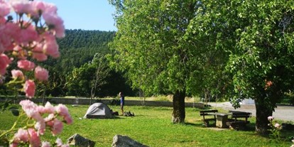 Reisemobilstellplatz - Duschen - Borovnica - Camp Mirjam