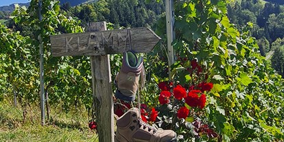 Reisemobilstellplatz - Umgebungsschwerpunkt: am Land - Steiermark - #wanderlust #hiking in unserer Region am Fuße der südsteirischen Weinstraße gibt es die Altenbachklamm in unmittelbarer Nähe und ein kleines Stück weiter entfernt, in Leutschach, die Heiligengeistklamm. Beide gehören zu meinen persönlichen Geheimtipps:-) - GenusSTA 
