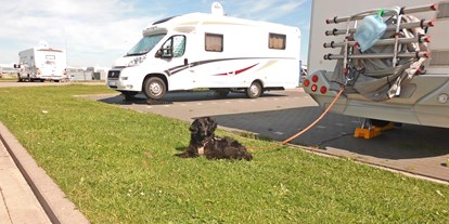Motorhome parking space - Umgebungsschwerpunkt: Fluss - Lower Saxony - Hunde sind auf dem Wohnmobilstellplatz in Harlesiel herzlich Willkommen! - Wohnmobilstellplatz am Campingplatz Harlesiel