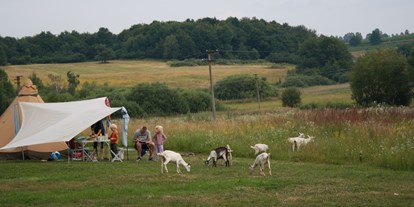 Reisemobilstellplatz - Bademöglichkeit für Hunde - Slowakei West - Farm & Camping Lazy