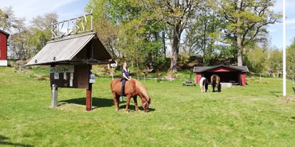 Reisemobilstellplatz - Art des Stellplatz: im Campingplatz - Südschweden - Pferde / Ponyreiten - Risebo Gård