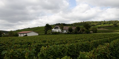 Reisemobilstellplatz - Westhofen - Weingut in den Weinbergen