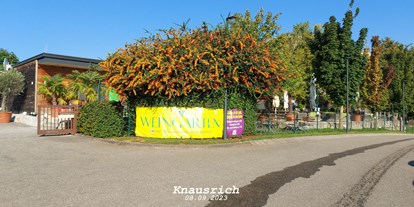 Motorhome parking space - Art des Stellplatz: bei Weingut - Baden-Württemberg - Wohnmobil-Stellplatz am »Weinschatzkeller«