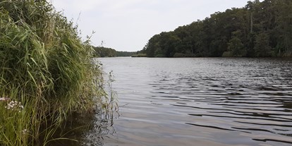 Reisemobilstellplatz - Umgebungsschwerpunkt: Fluss - Mecklenburg-Vorpommern - Der "Amazonas" des Nordens, die Peene ca. 1,6 km Spaziergang - Caravan & Resort Gützkow
